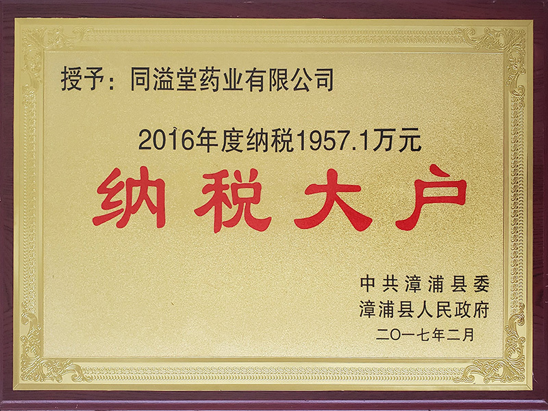 2016年度纳税大户