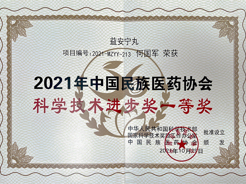 2021年度第四届中国民族医药协会科学技术奖金年会中国jinnian一等奖